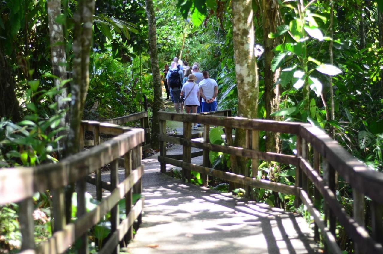 Veragua Rainforest Puerto Limon Eksteriør bilde